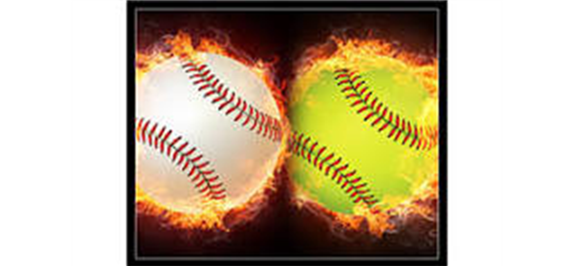 2026 DEWITT PANTHER CLASSIC TEAM REGISTRATION